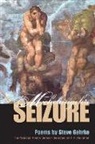 Steve Gehrke, T. R. Hummer - Michelangelo''s Seizure