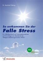 Manfred Oetting - Falle Stress
