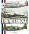 Sebastien Guillemin, Sébastien Guillemin, Sébastien Guillemin, Nicolas Gohin - P-47 Thunderbolt