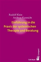 Kannicht, Andreas Kannicht, Klei, Rudol Klein, Rudolf Klein - Einführung in die Praxis der systemischen Therapie und Beratung
