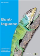 Uwe Schlüter - Buntleguane