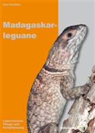 Uwe Schlüter - Madagaskarleguane