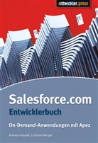 Holube, Andreas Holubek, Metzger, Christian Metzger - Salesforce.com - Entwicklerhandbuch