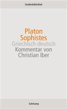 Platon, Ursul Wolf, Ursula Wolf - Sophistes