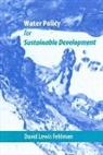 Dave Feldman, Dave (Professor and Chair Feldman, David Lewis Feldman - Water Policy for Sustainable Development
