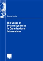 Birgitte Snabe - The Usage of System Dynamics in Organizational Interventions