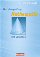Pete Hahne, Peter Hahne, Horst Rümmele, Hors Rümmele, Horst Rümmele - Abschlüssprüfung Mathematik mit Lösungen, Berufsfachschule Baden-Württemberg