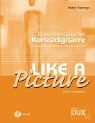 Like A Picture