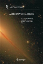 Aleksey M. Fridman, Alexei M. Fridman, Ilya G Kovalenko, Ilya G. Kovalenko, M. Y. Marov, Mikhail Ya Marov... - Astrophysical Disks