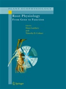 Timothy D. Colmer, D Colmer, D Colmer, Han Lambers, Hans Lambers - Root Physiology: from Gene to Function