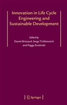 Daniel Brissaud, Serg Tichkiewitch, Serge Tichkiewitch, Peggy Zwolinski - Innovation in Life Cycle Engineering and Sustainable Development