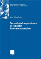 Jens Schmidthals - Technologiekooperationen in radikalen Innovationsvorhaben