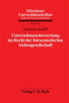 Johannes Adolff - Unternehmensbewertung im Recht der börsennotierten Aktiengesellschaft