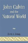 Davis A. Young, Young Davis A. - John Calvin and the Natural World