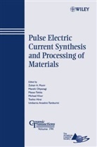 Umberto Anselmi-Tamburini, Toshio Hirai, Michael Khor, ZA Munir, Zuhair Munir, Zuhair A Munir... - Pulse Electric Current Synthesis and Processing of Materials