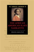 Audrey Fisch, Audrey A. Fisch - Cambridge Companion to the African American Slave Narrative