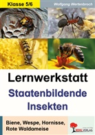 Wolfgang Wertenbroch - Lernwerkstatt Staatenbildende Insekten