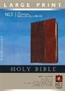 Not Available (NA), Tyndale, Tyndale House Publishers - Holy Bible