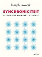 J. Jaworski - Synchroniciteit
