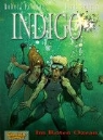 Robert Feldhoff, Dirk Schulz - Indigo, Band 3