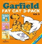 Jim Davis - Garfield Fat Cat 3 Pack vol 3