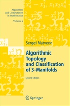 Sergei Matveev - Algorithmic Topology and Classification of 3-Manifolds