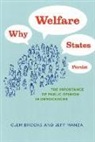 Clem Brooks, Clem Manza Brooks, Clem/ Manza Brooks, BROOKS CLEM MANZA JEFF, Jeff Manza - Why Welfare States Persist