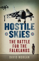 David Morgan - Hostile Skies