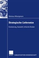 Nikolaus Müssigmann - Strategische Liefernetze