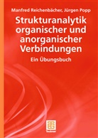 Jürgen Popp, Manfre Reichenbächer, Manfred Reichenbächer - Strukturanalytik organischer und anorganischer Verbindungen