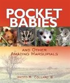 Sneed B. Collard - Pocket Babies And Other Amazing Marsupials