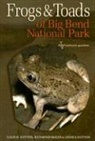 Gage H Dayton, Gage H. Dayton, Linnea Dayton, Linnea B. Dayton, Raymond/ Dayton Gage H. Dayton/ Skiles, Raymond Skiles - Frogs and Toads of Big Bend National Park