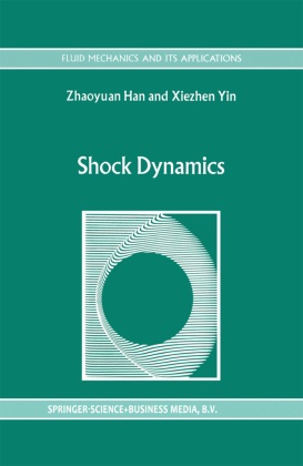 Han, Z Han, Z. Han, X Yin, X. Yin - Shock Dynamics