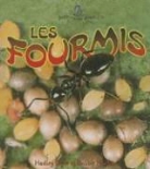 Hadley Dyer, Bobbie Kalman - Les Fourmis (the Life Cycle of an Ant)