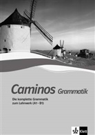 Veronica Beucker - Caminos plus: Caminos A1-B1
