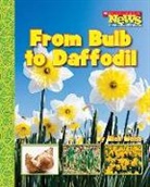 Ellen Weiss, Ellen Weiss - From Bulb to Daffodil (Scholastic News Nonfiction Readers: How Things Grow)