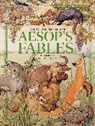 Aesop, Don Daily, Don Daily - The Classic Treasury of Aesop's Fables