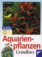 Peter Beck - Aquarienpflanzen Grundkurs