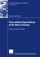 Marco T. Zanini, Marco Tulio Zanini - Trust within the Organizations of the New Economy