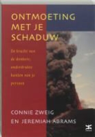 J. Abrams, C. Zweig - Ontmoeting met je schaduw