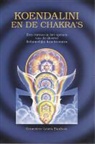 H. Geurink, Hajo Geurink, G. L. Paulson, G.L. Paulson - Koendalini en de chakra's