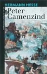H. Hesse, Hermann Hesse - Peter Camenzind / druk 1