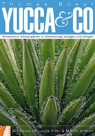 Thomas Boeuf, Julia Etter, Martin Kristen - Yucca & Co