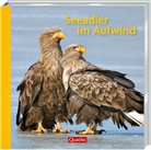 Andreas David, Willi Rolfes, Willi Rolfes - Seeadler im Aufwind