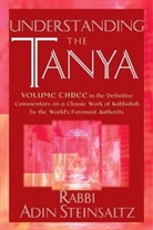 Adin Steinsaltz, Rabbi Adin Steinsaltz, Meir Hanegbi - Understanding the Tanya