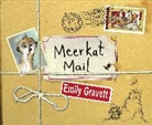 Emily Gravett, Emily Gravett - Meerkat Mail