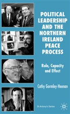 GORMLEY HEENAN CATHY, C Gormley-Heenan, C. Gormley-Heenan, Cathy Gormley-Heenan - Political Leadership and the Northern Ireland Peace Process