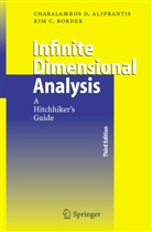 Charalambos Aliprantis, Charalambos D Aliprantis, Charalambos D. Aliprantis, Kim Border, Kim C Border, Kim C. Border - Infinite Dimensional Analysis