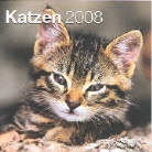 Katzen 2008