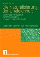 Jesse Souza, Jessé Souza - Die Naturalisierung der Ungleichheit